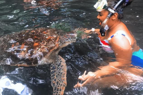 Zanzibar: Jozani Forest och Salaam Cave TourZanzibar: Jozani-skogen och Salaam-grottan