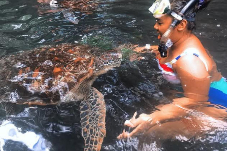 Zanzibar: Jozani Forest och Salaam Cave TourZanzibar: Jozani-skogen och Salaam-grottan