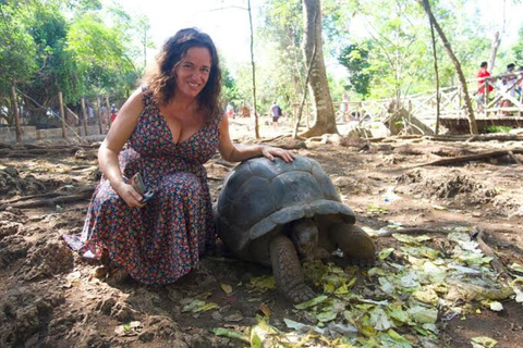 Zanzibar: privat tur till Prison Island, sköldpaddor och Stone TownPrivat rundtur i Stone Town och Prison Island. Ingen transfer