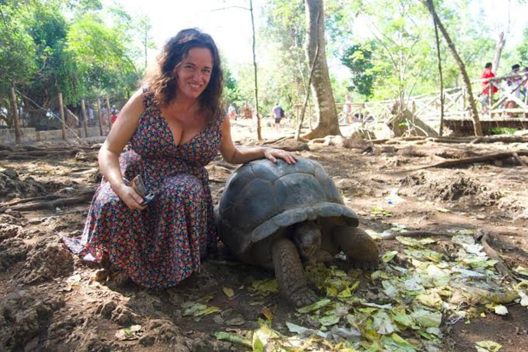 Zanzibar: privat tur till Prison Island, sköldpaddor och Stone TownPrivat rundtur i Stone Town och Prison Island. Ingen transfer