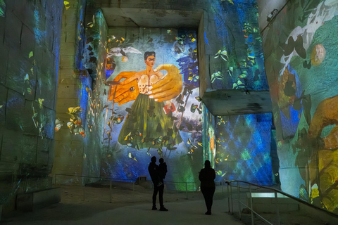 Les Baux-de-Provence: Carrières des Lumières Picasso-Frida Kahlo ticket