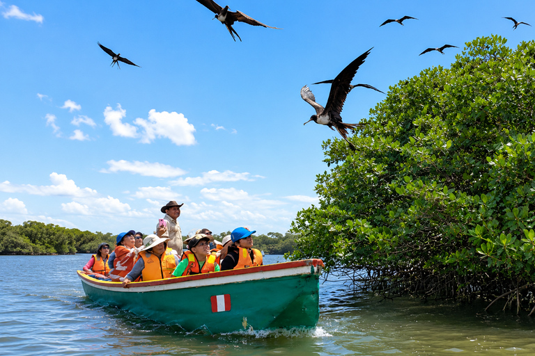 From Tumbes: Puerto Pizarro Mangrove and Islands Boat Tour