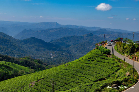 Kerala: Tour privado de 5 días con estancia en casa flotante