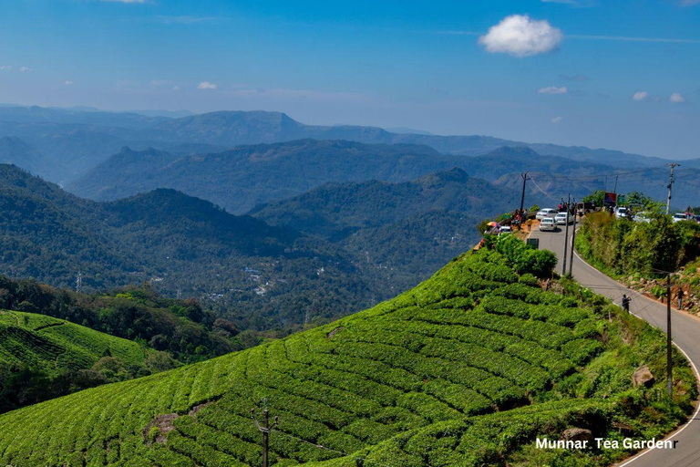 Kerala: Tour particular de 5 dias com estadia em casa flutuante