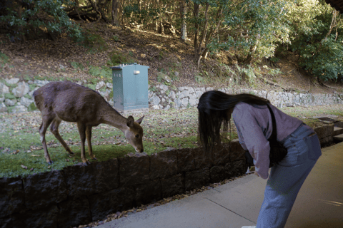 Nara: Recorrido por las atracciones imprescindibles con guía de habla inglesa