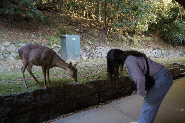 Nara: Must-see attractions tour with English-Speaking Guide