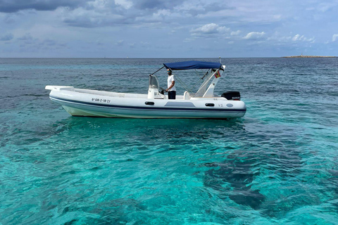 Ibiza: Paseo en barco por Formentera y Espalmador