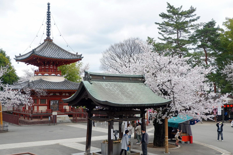 Tokyo: City One Day Private Customizable Top Places Tour