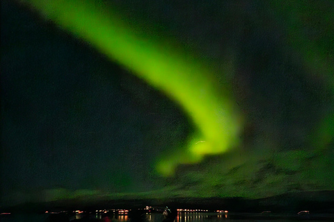 Tromsø:Tour de la aurora boreal en minibús por Tromsø