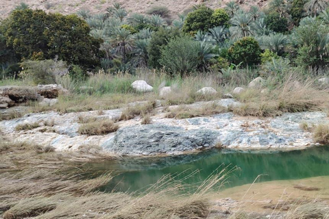 Muscat: Private Fanja Village, Souq, and Wadi Tayeen Tour