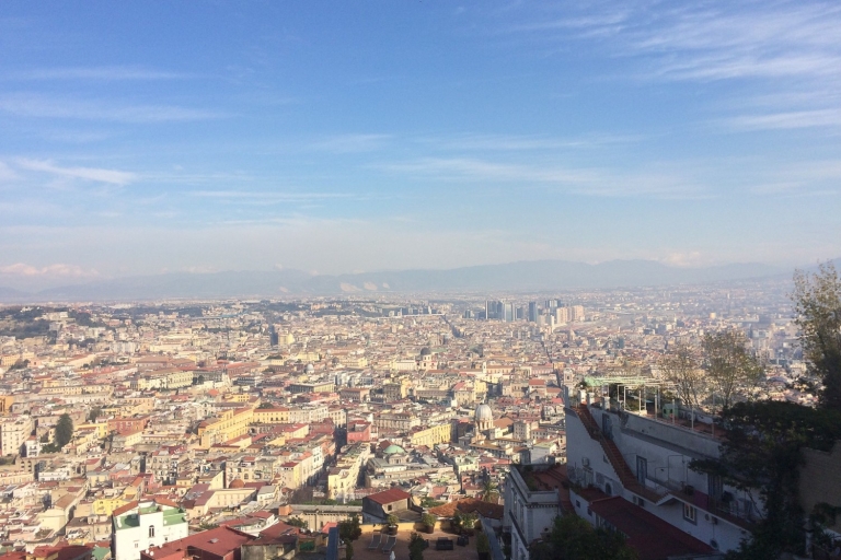Naples and Pompeii: Half-Day Tour Tour from Naples - French