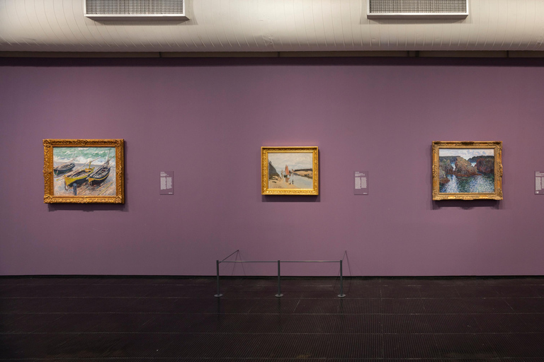 São Paulo: MASP skip-the-line admission with guided tour