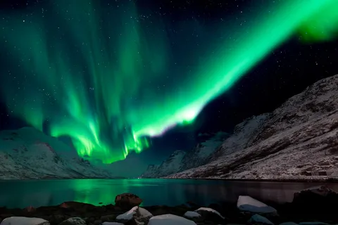 Tromsø: Tour dell'aurora boreale con guida locale e foto