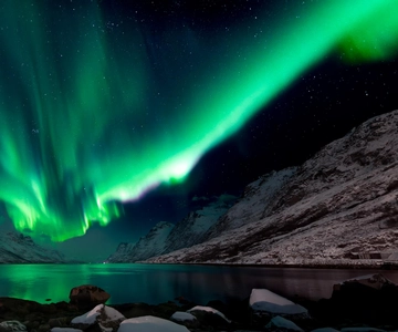 Tromsø: Northern Lights Tour with Local Guide and Photos