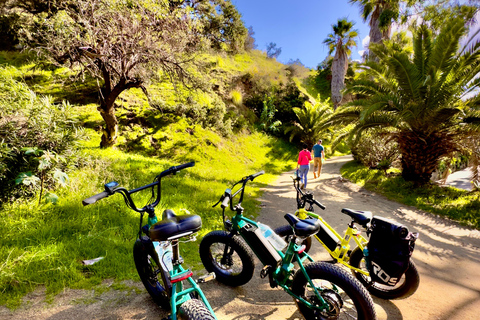 Los Angeles : Visite privée en E-Bike de l'enseigne d'Hollywood