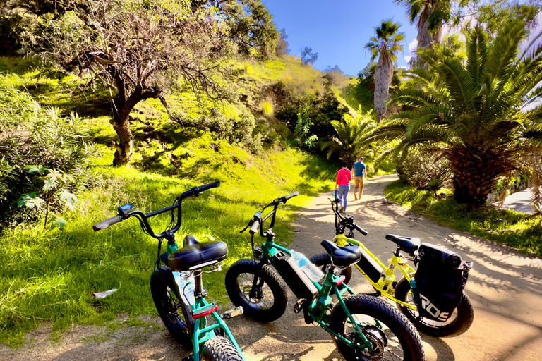 Los Angeles: Avventura in bicicletta con l&#039;insegna di Hollywood