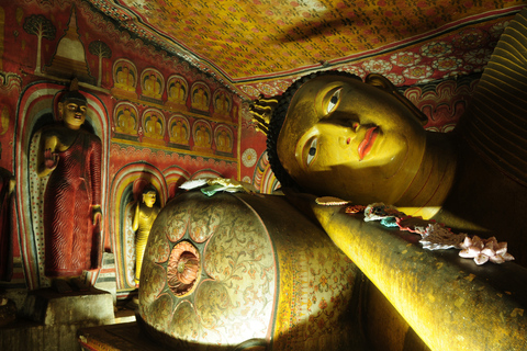 Colombo: 4-Day Cultural Triangle Tour with Wilpattu Safari