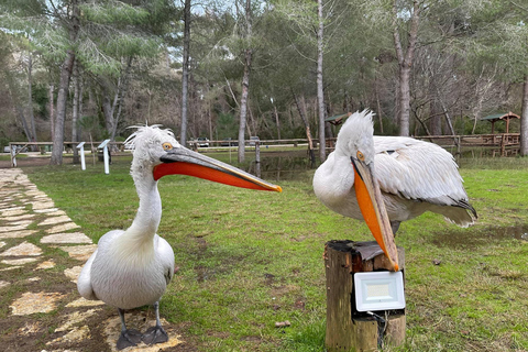 Vlorë:2-Day tour-Apollonia-Berat-Divjake-Belsh with Rafting