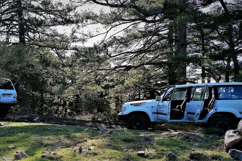 Bastia: Embark on an Adventure with Our 4x4 Tour, Departing from Furiani Private: Embark on an adventure with our 4x4 excursion, departing from Furiani