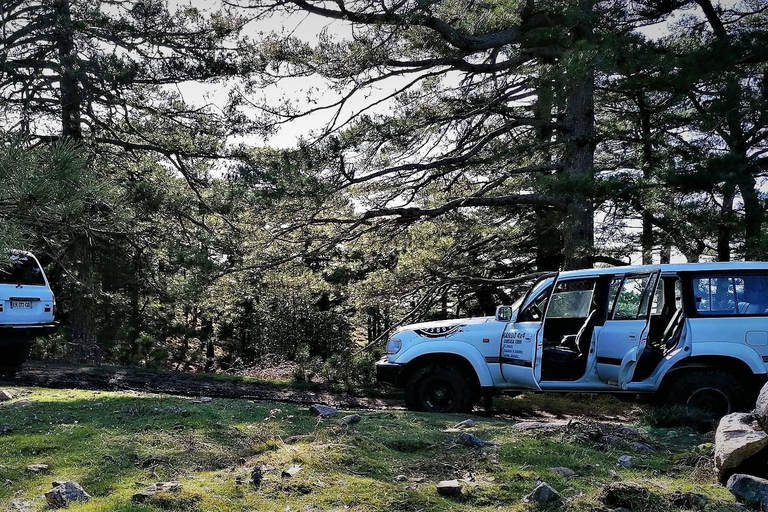 Bastia: Embark on an Adventure with Our 4x4 Tour, Departing from Furiani Private: Embark on an adventure with our 4x4 excursion, departing from Furiani