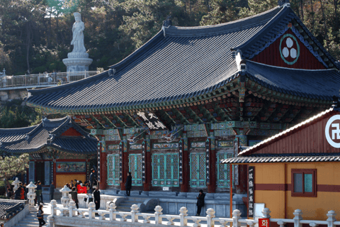 Busan: Highlights Tour with Zipline & Cable Car with Lunch
