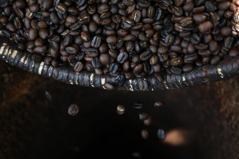 Arusha: tour di una piantagione di caffè con degustazione e tostatura