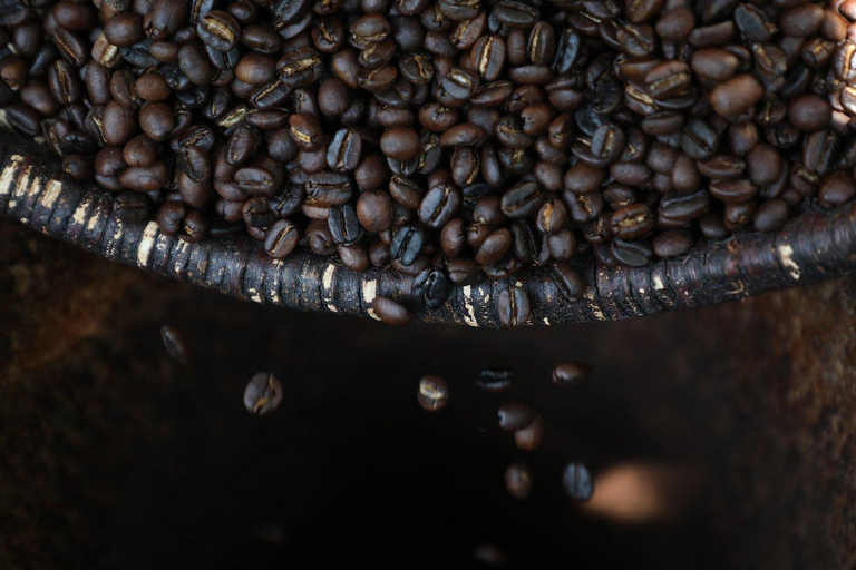 Arusha: tour di una piantagione di caffè con degustazione e tostatura