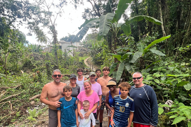 El Yunque Rainforest & Old San Juan Tour