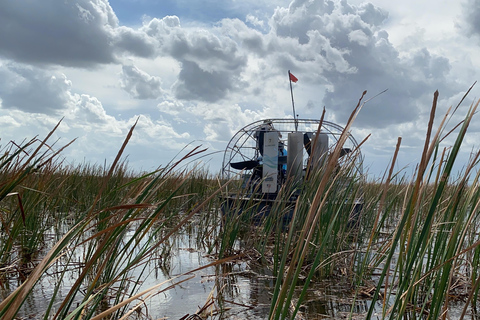 Miami: Everglades Airboat, Wildlife Show & Transfer Spanish