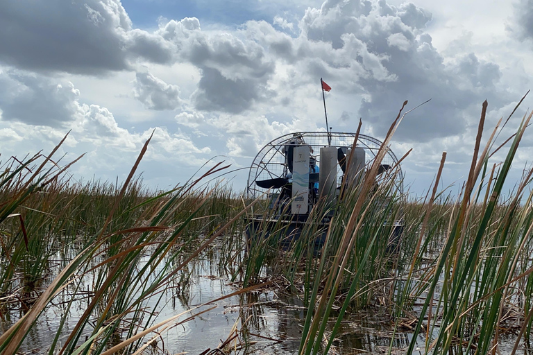 Miami: Everglades Airboat, Wildlife Show & Transfer Spanish