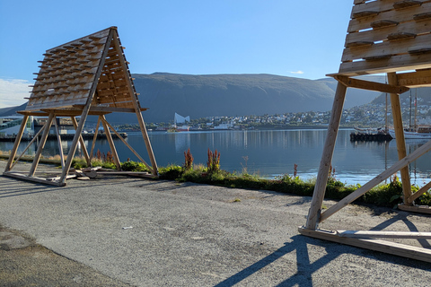 Tromsø: Small Group City Walk & Cinnamon Bun at Fint Café