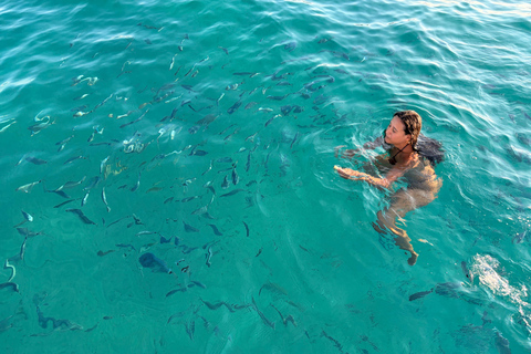 Magical VIP cruise tour in Cannes - Stand-up paddleboarding, diving, champagne Full-Day Cruise Tour - 2H - Lérins Islands