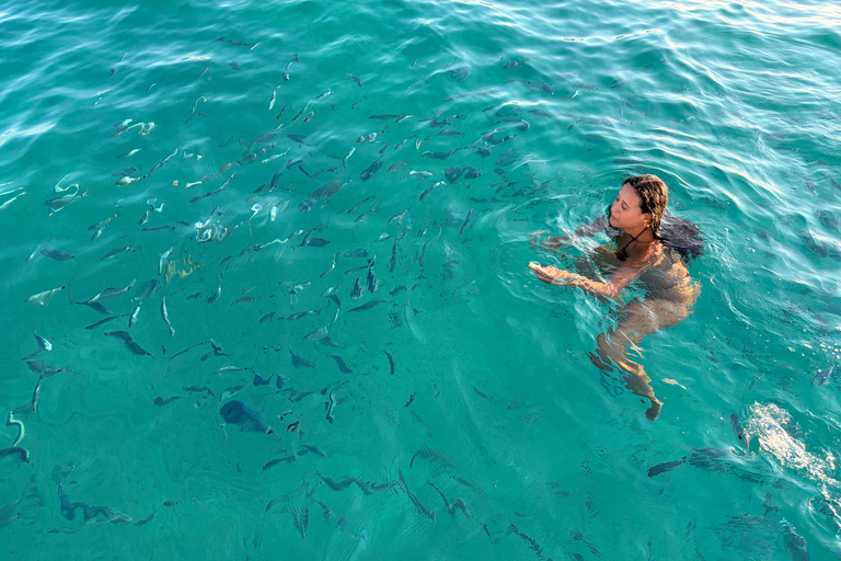 Magical VIP cruise tour in Cannes - Stand-up paddleboarding, diving, champagne Full-Day Cruise Tour - 2H - Lérins Islands