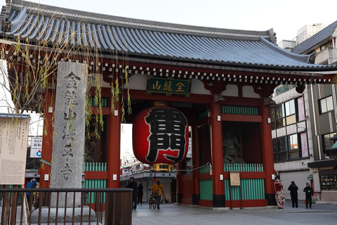 Tóquio: excursão a Asakusa, Meiji Jingu e ao mercado de peixe de TsukijiTóquio: passeio por Asakusa, Meiji Jingu e o mercado de peixe de Tsukiji