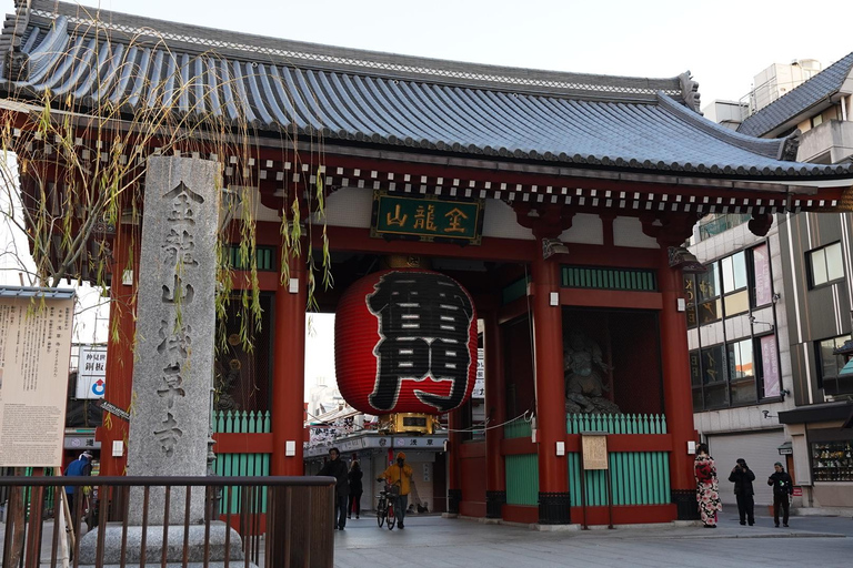 Tóquio: excursão a Asakusa, Meiji Jingu e ao mercado de peixe de TsukijiTóquio: passeio por Asakusa, Meiji Jingu e o mercado de peixe de Tsukiji