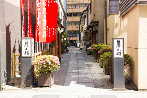 Tokio : Tour a pie por los callejones de Ginza