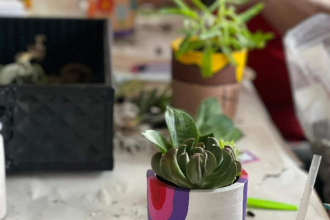 Create your succulent terrarium in the city of San José Create your succulent terrarium in San Jose