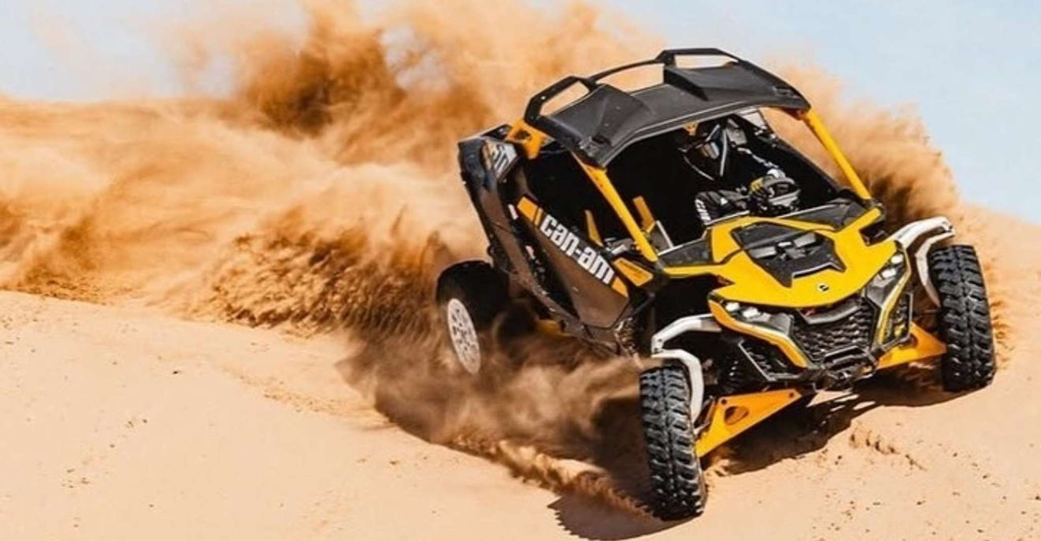 Doha:ATV,Quad or Buggy Dune Bashing,CamelRide & Sandboarding photo 20