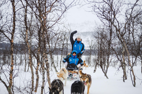 Tromsø: Husky Sledding Adventure with Soup & Transfers
