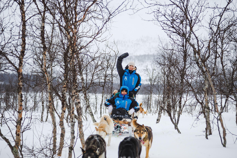 Tromsø: Husky Sledding Adventure with Soup & Transfers