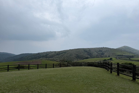 Taipei: tour guidato di Yangmingshan, Museo del Palazzo e Raohe