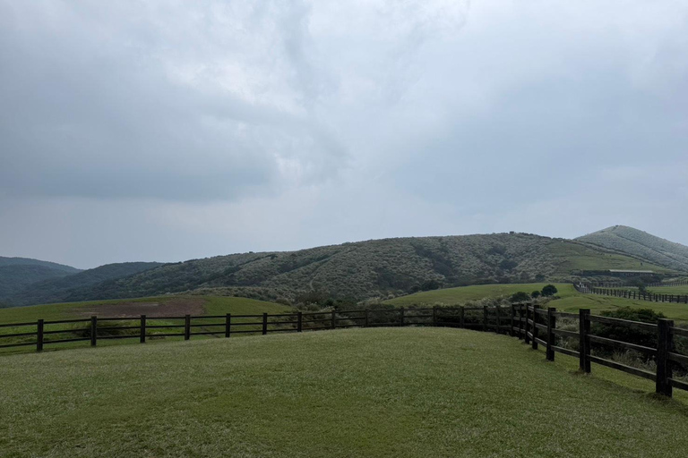 Taipei: tour guidato di Yangmingshan, Museo del Palazzo e Raohe