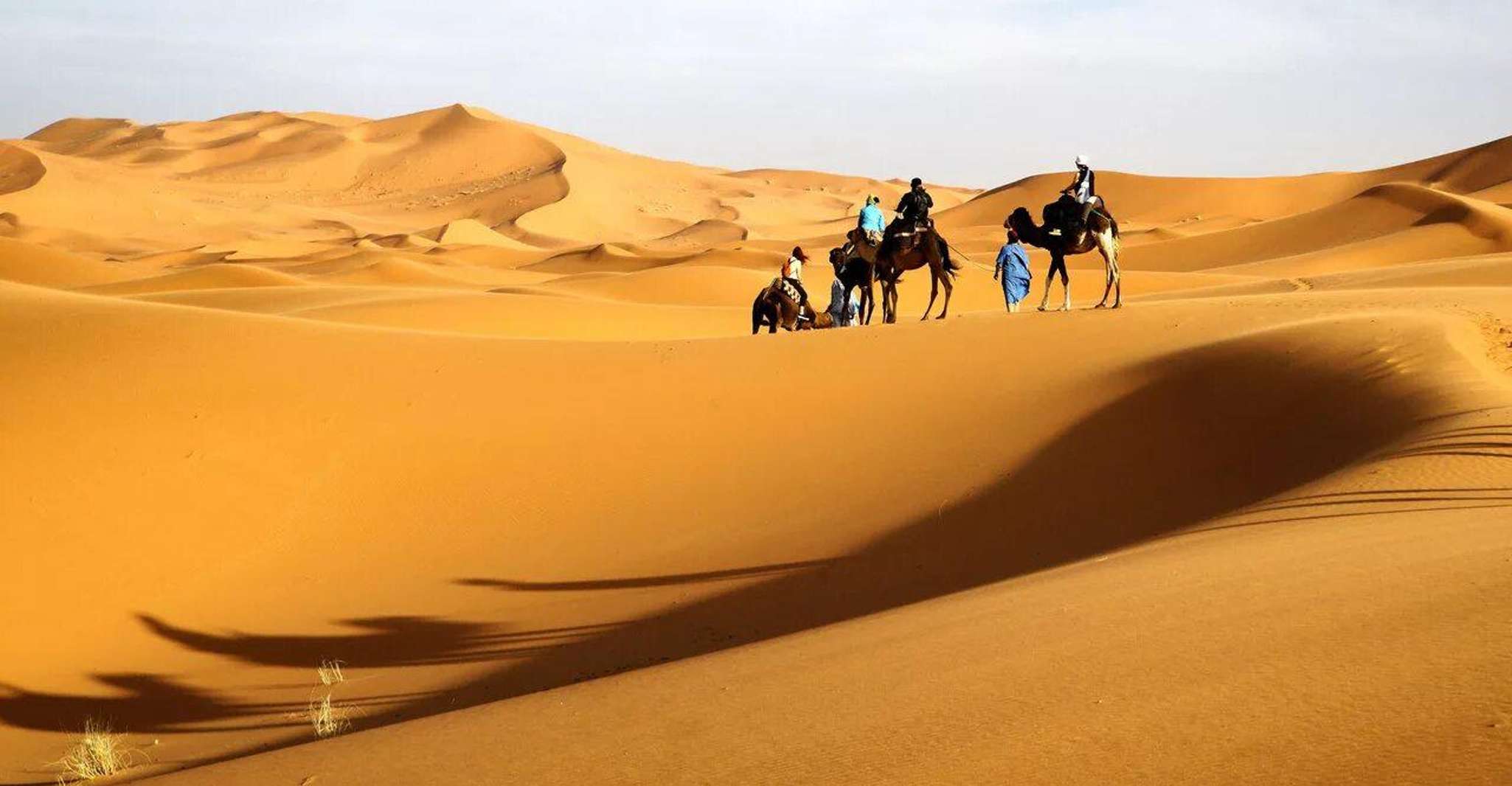 FES, Tour del Desierto de 3 días a Marrakech con alojamiento y comida - Housity