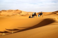 FES, visite du désert de 3 jours à Marrakech avec un hébergement et de la nourriture - Housity