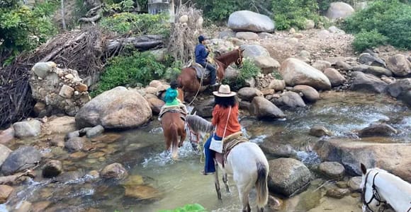 Puerto Vallarta: El Eden Horseback Riding