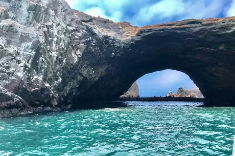 Journée complète Paracas - ica depuis Lima