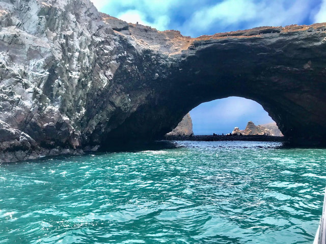 Full Day Paracas - ica from Lima