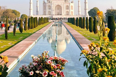 From Delhi: Taj Mahal Sunrise and Elephant Wildlife SOS TourPrivate Tour with Entry Fee and Breakfast