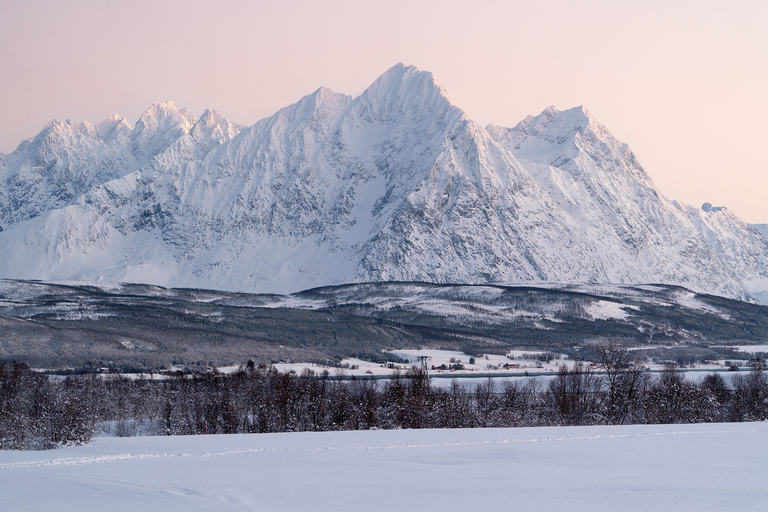 Från Tromsö: Roligt och enkelt hundspannsäventyrHundspannstur - 8:10