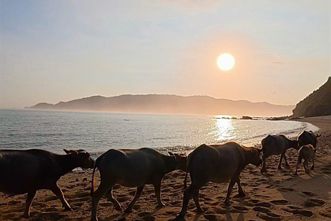 Lombok: Weaving, South Beach, Sunset with Buffalo Tour Lombok: Weaving, South Beach, Sunset with Buffalo Tour